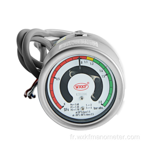 Moniteur de jauge de densité de gaz SF6